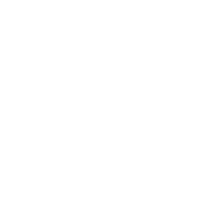 Custom Ecommerce Platform